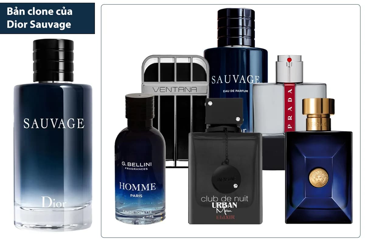 Top 6 Bản Clone Của Dior Sauvage Hoàn Hảo Nhất