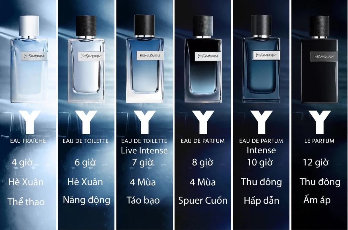 Nước Hoa Nam YSL Y Có Mấy Loại ? Loại nào tốt nhất