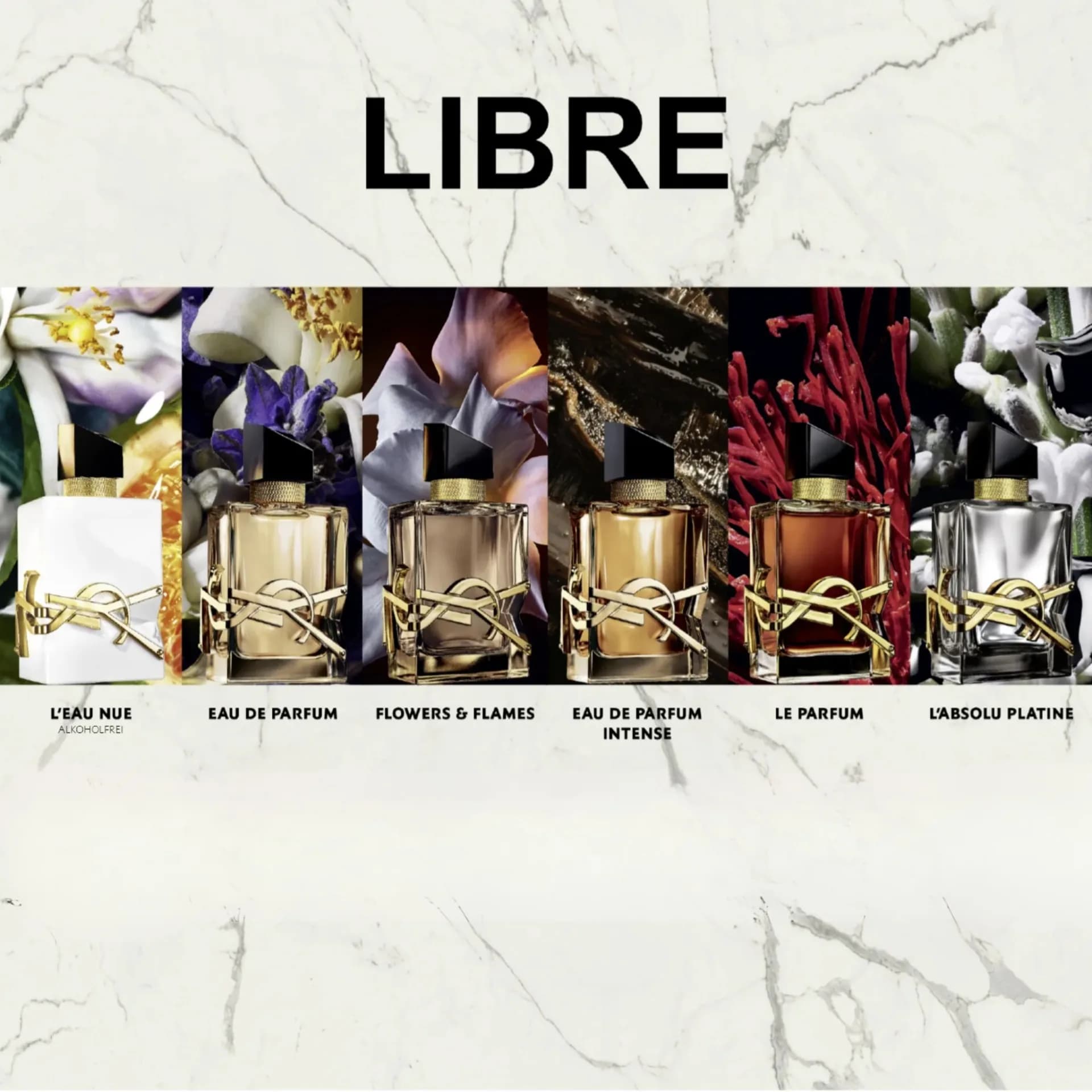 Nước Hoa YSL Libre Có Mấy Loại ? Loại Nào Thơm Nhất