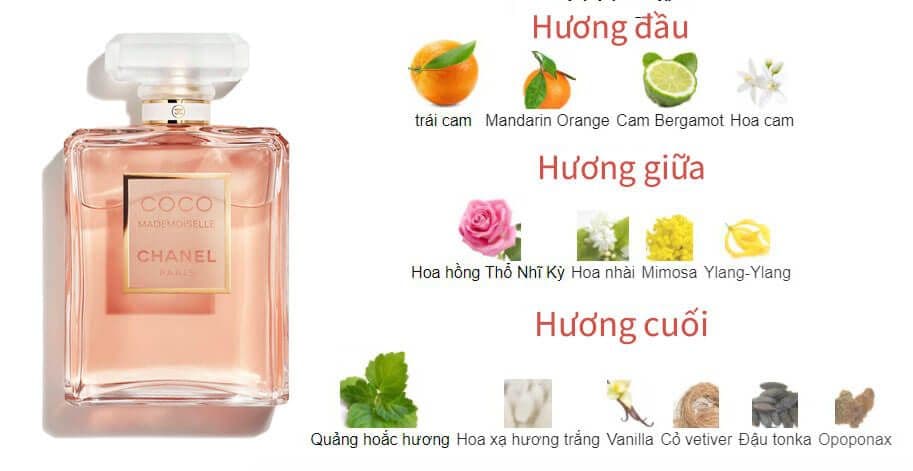Chanel Coco Mademoiselle: Review Mùi Hương, Giá & Độ Lưu Hương