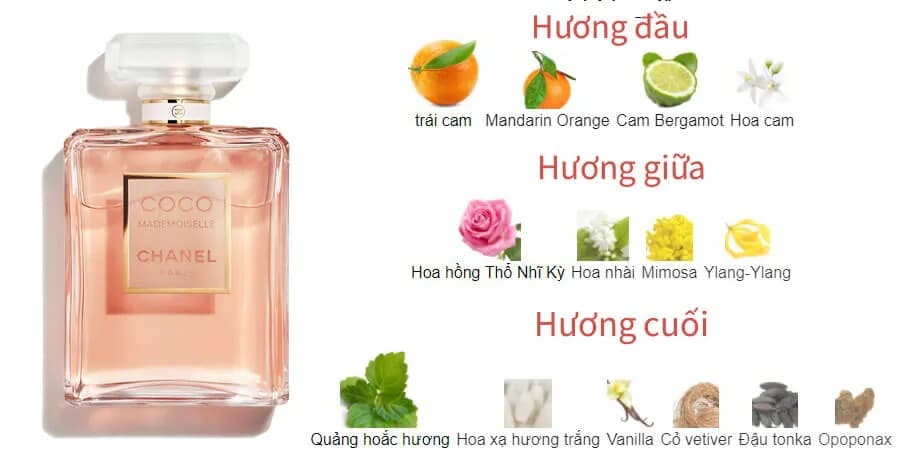 Chanel Coco Mademoiselle: Review Mùi Hương, Giá & Độ Lưu Hương