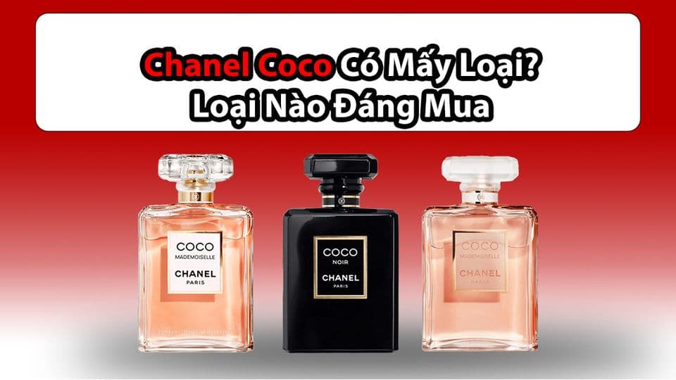 Chanel Coco Có Mấy Loại ? Loại Nào Đáng Mua