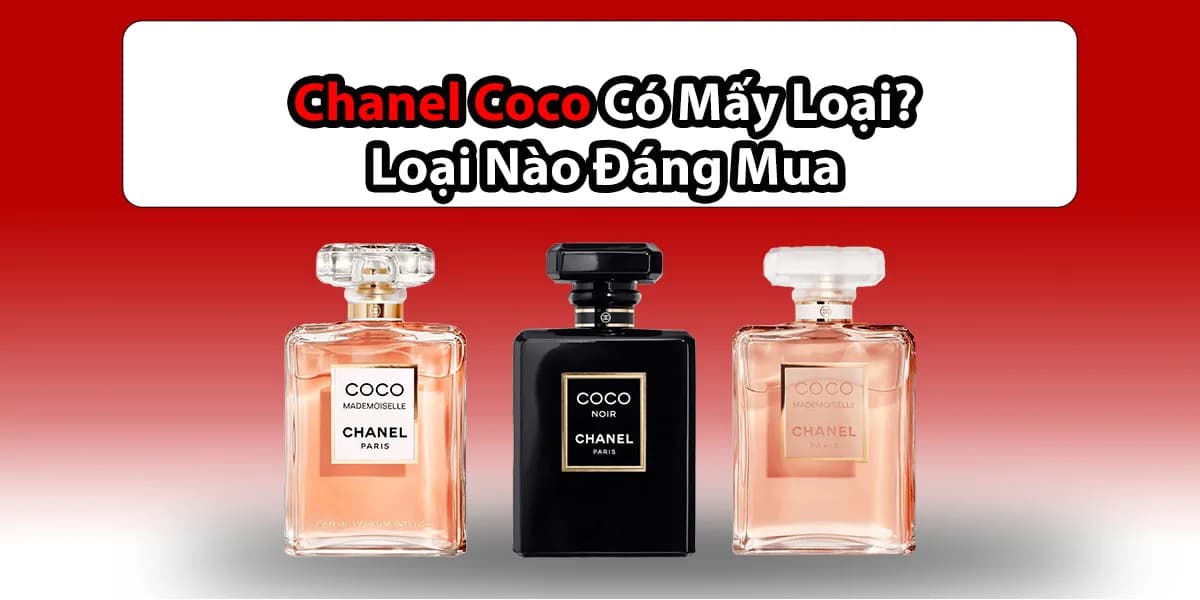 Chanel Coco Có Mấy Loại ? Loại Nào Đáng Mua