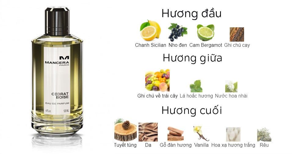 Đánh giá Nước Hoa Mancera Cedrat Boise: Đỉnh Cao Niche Giá Rẻ