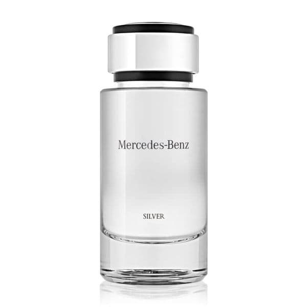 Mercedes Benz Silver