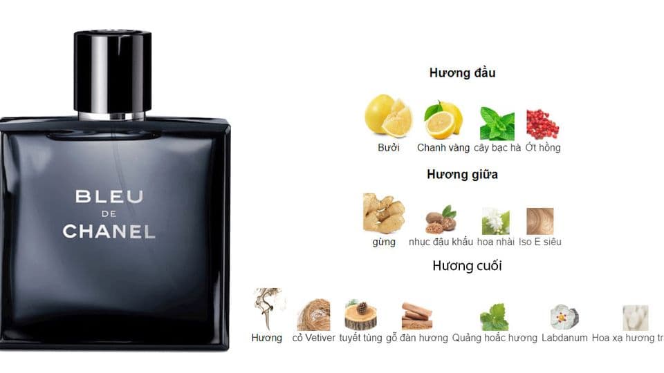 Review nước hoa Bleu de Chanel: Đẳng cấp quý ông vượt thời gian