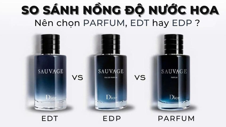 Nồng độ nước hoa là gì? Phân biệt Parfum, EDP, EDT từ A-Z