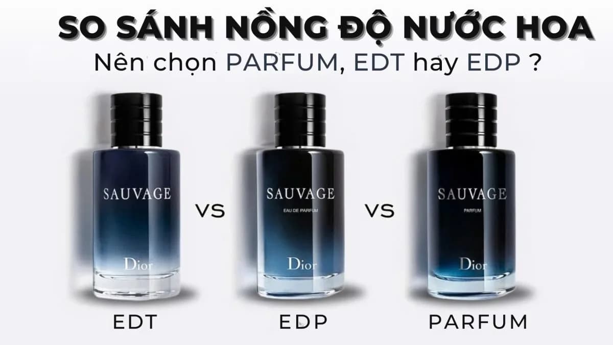 Nồng độ nước hoa là gì? Phân biệt Parfum, EDP, EDT từ A-Z