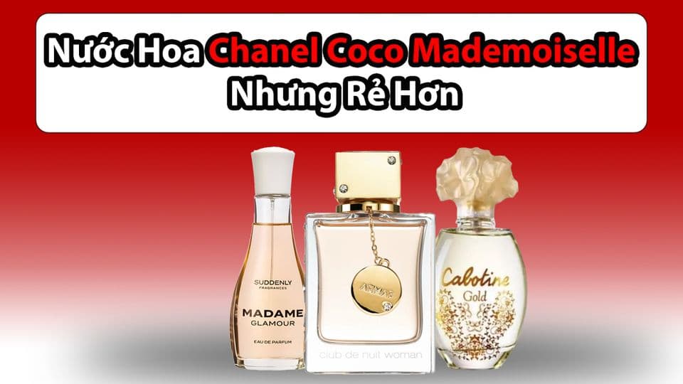 Đâu Mới Là Bản Dupe Chanel Coco Mademoiselle Đáng Thử