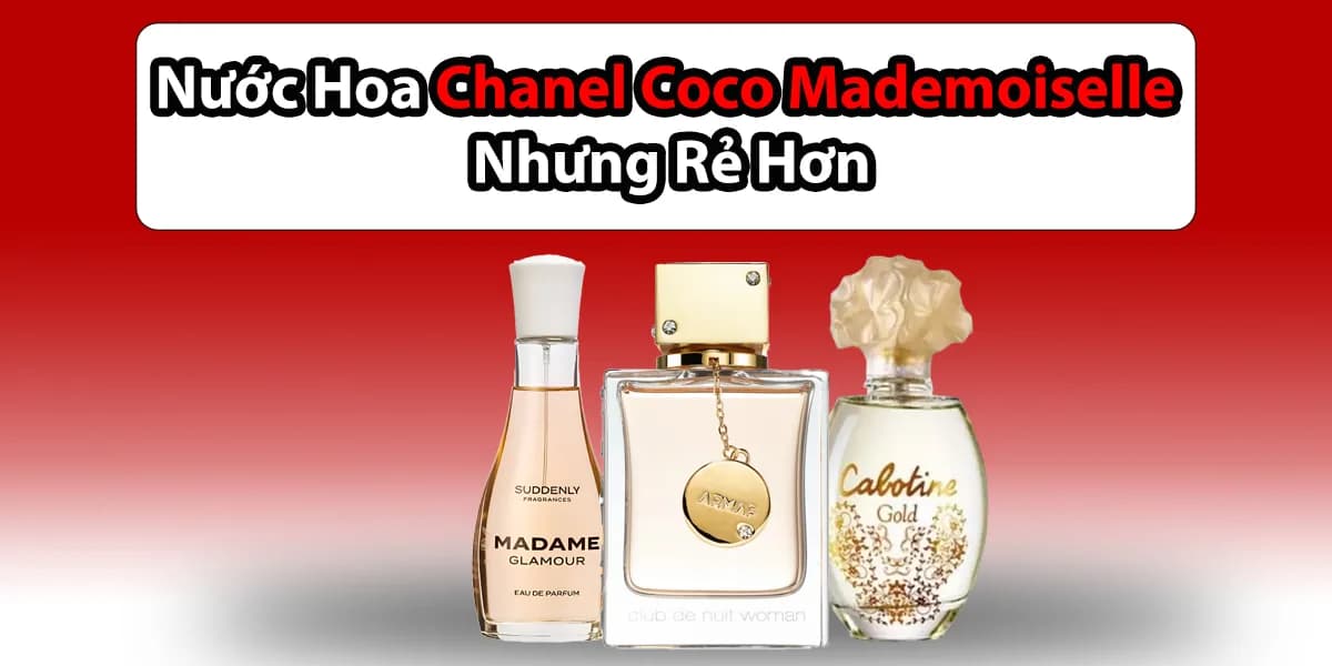 Đâu Mới Là Bản Dupe Chanel Coco Mademoiselle Đáng Thử