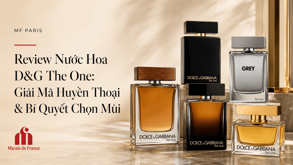 Review D&G The One: So Sánh EDT, EDP Và Các Phiên Bản