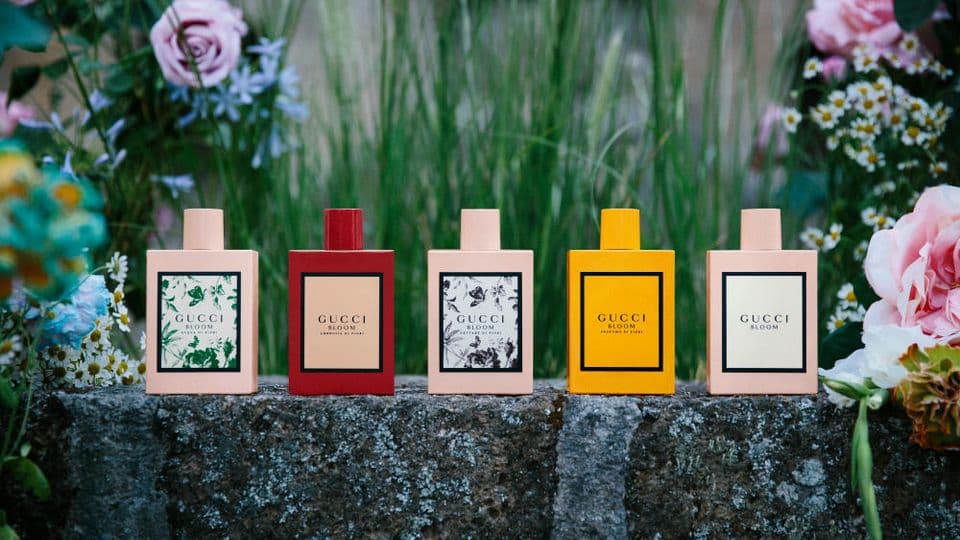 Nước Hoa Gucci Bloom Có Mấy Loại ? Loại Nào Thơm Nhất