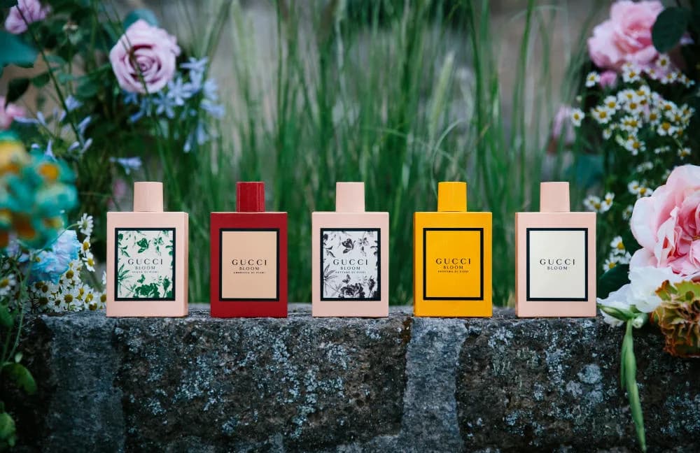 Nước Hoa Gucci Bloom Có Mấy Loại ? Loại Nào Thơm Nhất