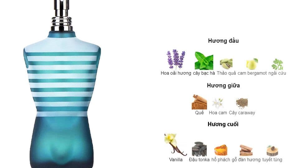 Review Nước Hoa Jean Paul Gaultier Le Male