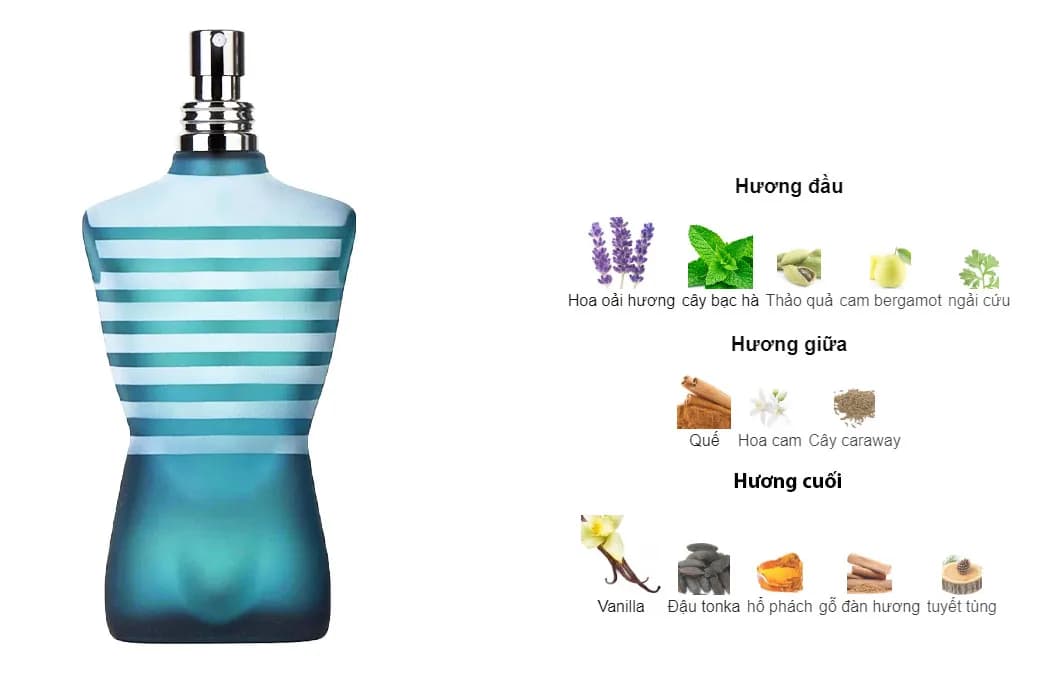 Review Nước Hoa Jean Paul Gaultier Le Male