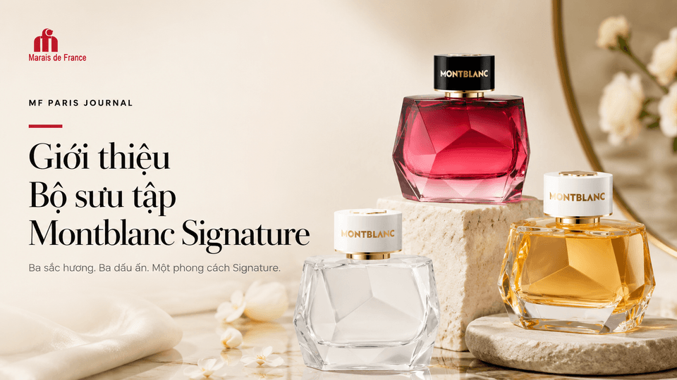 So sánh 3 bản Montblanc Signature: EDP đến Elixir