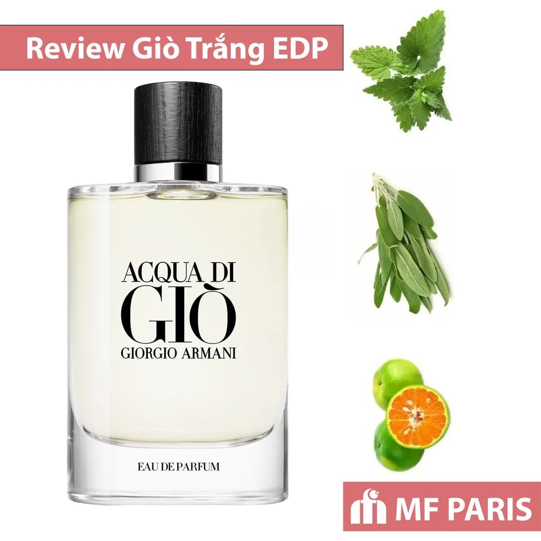 Review Nước Hoa Acqua Di Gio Eau de Parfum