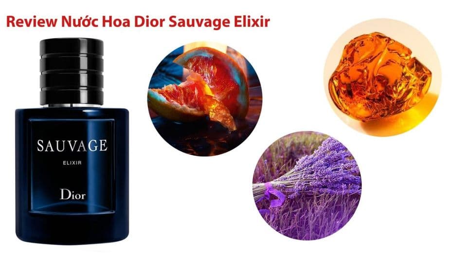 Review Nước Hoa Dior Sauvage Elixir Phiên Bản Cao Cấp Nhất