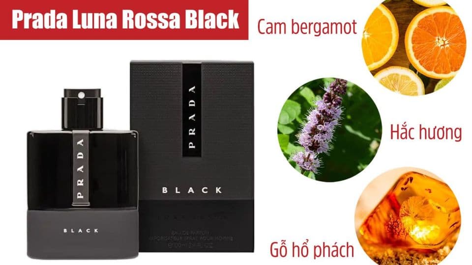 Review Nước Hoa Prada Luna Rossa Black Chuyên Sâu