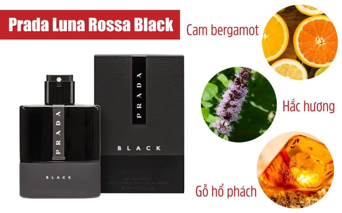 Review Nước Hoa Prada Luna Rossa Black Chuyên Sâu