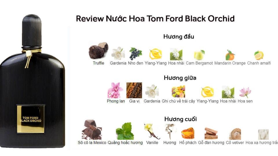 Review Nước Hoa Tom Ford Black Orchid Đẳng Cấp Quyến Rủ