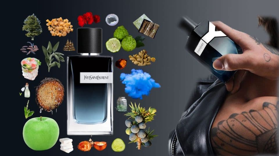 Đừng vội mua Nước hoa YSL Y Eau de Parfum! Đọc ngay review chân thực từ người dùng
