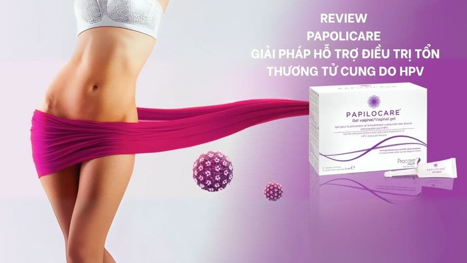 Review Papilocare Vaginal Gel: Bằng chứng và cách dùng