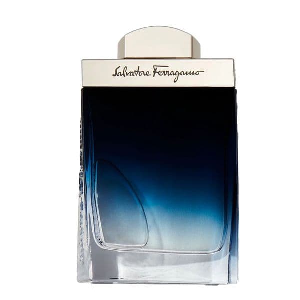 Salvatore Ferragamo Subtil Pour Homme