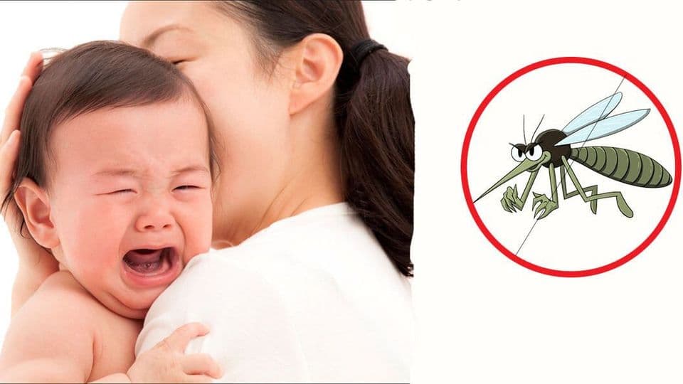 Top 6 Sản Phẩm Đuổi Muỗi Cho Bé An Toàn, Hiệu Quả Nhất