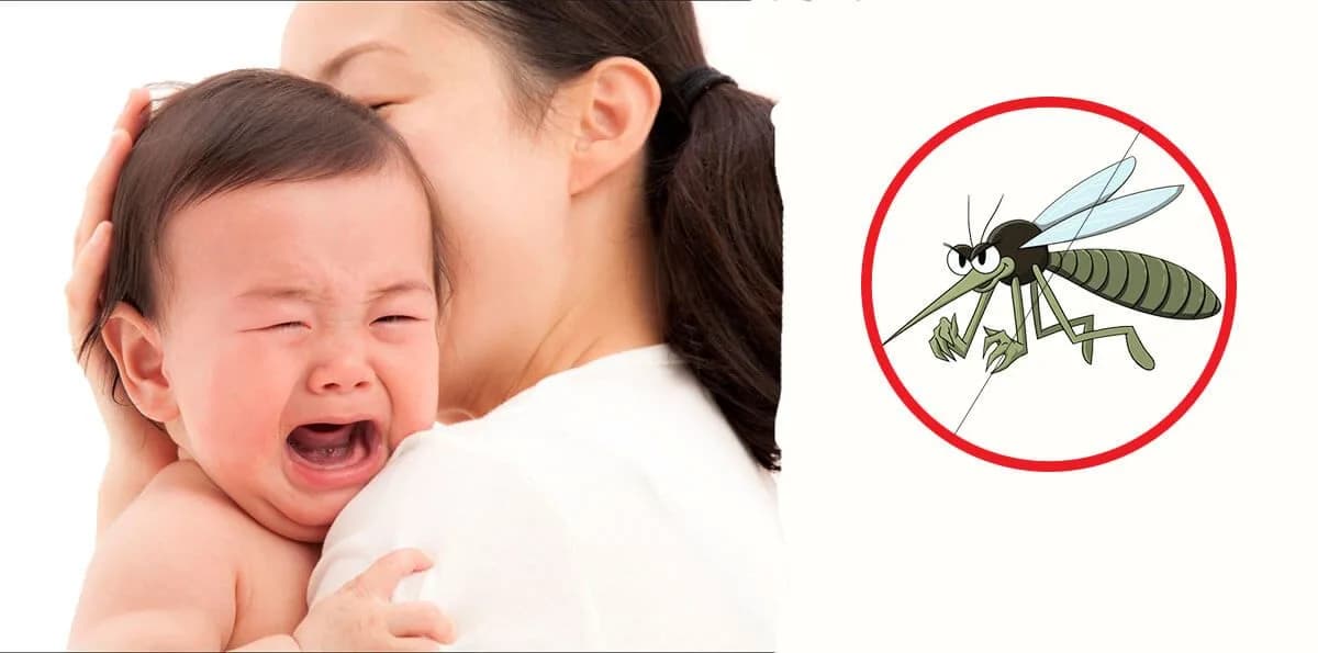 Top 6 Sản Phẩm Đuổi Muỗi Cho Bé An Toàn, Hiệu Quả Nhất