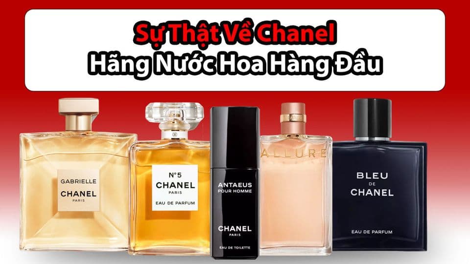 Sự Thật Về Nước Hoa Chanel Thương Hiệu Nước Hoa Pháp Hàng Đầu
