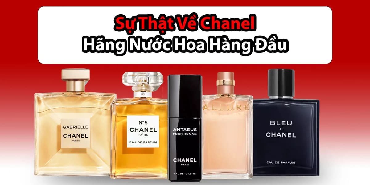 Sự Thật Về Nước Hoa Chanel Thương Hiệu Nước Hoa Pháp Hàng Đầu