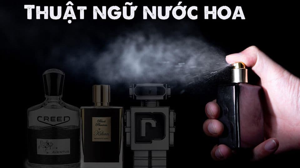 20+ Thuật ngữ nước hoa từ cơ bản đến chuyên sâu cần biết