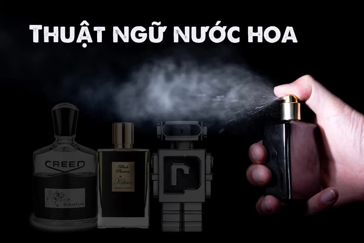 20+ Thuật ngữ nước hoa từ cơ bản đến chuyên sâu cần biết