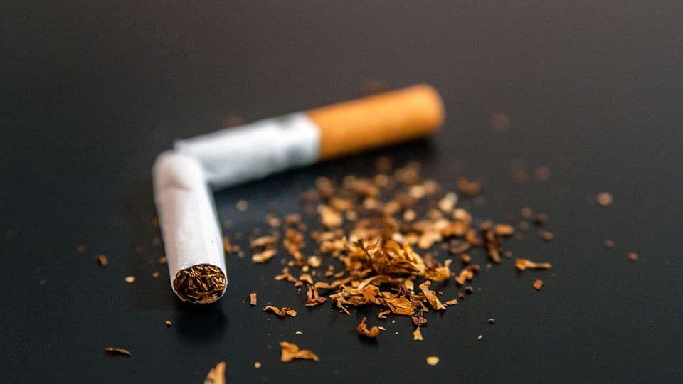 Top 10 Chai Nước Hoa Mùi Thuốc Lá Siêu Xịn