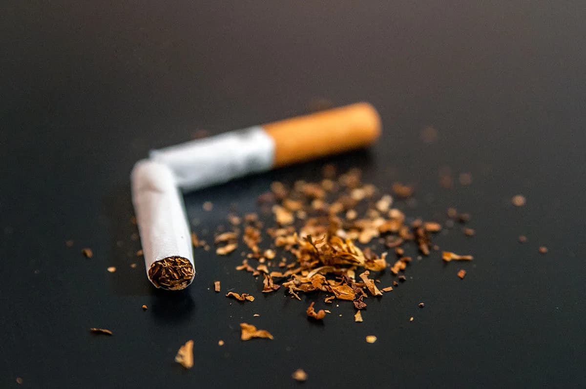 Top 10 Chai Nước Hoa Mùi Thuốc Lá Siêu Xịn