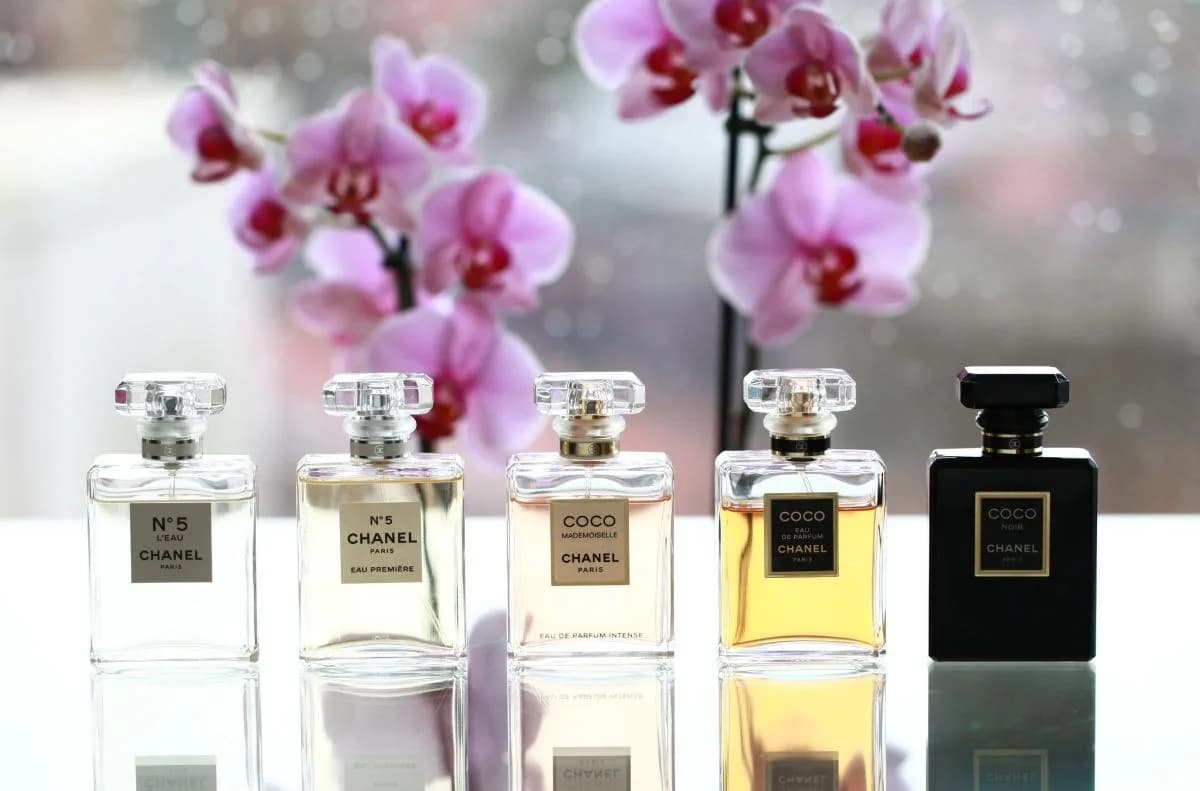 Top 8 nước hoa Chanel cho nữ: Bí quyết chinh phục mọi ánh nhìn