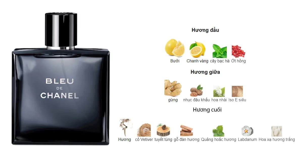 Review nước hoa Bleu de Chanel: Đẳng cấp quý ông vượt thời gian