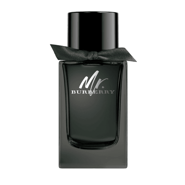 Burberry Mr Burberry
