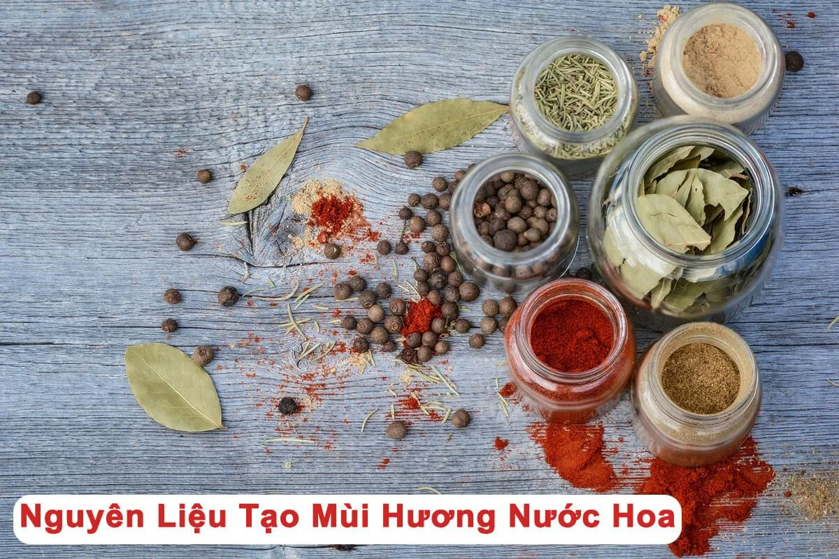 11 Nguồn Nguyên Liệu Tạo Nên Mùi Hương Nước Hoa