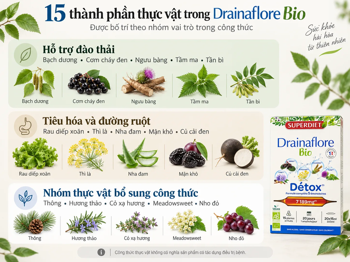 15 thành phần thực vật trong công thức Superdiet Drainaflore Bio