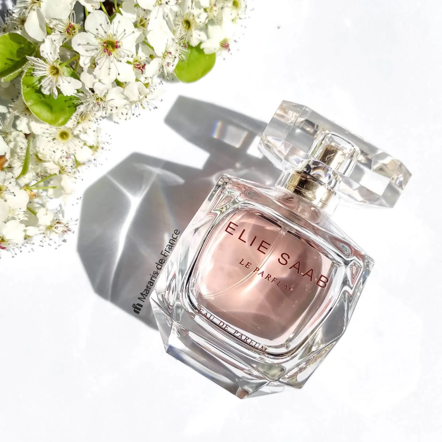 Nước hoa Elie Saab Le Parfum Eau de Parfum