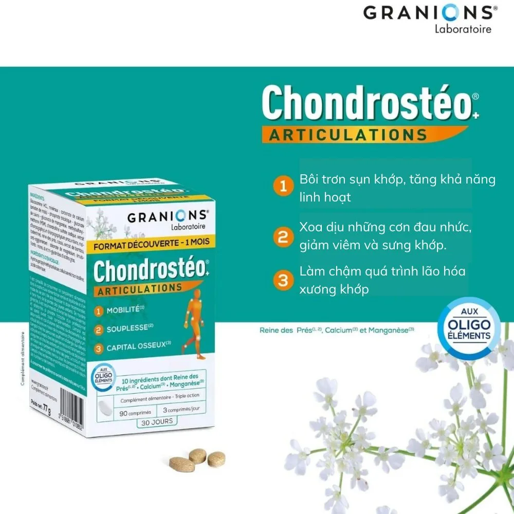 Granions Chondrosteo Articulations Actions