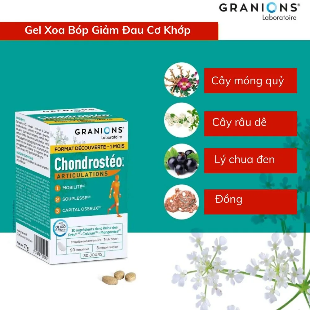 Granions Chondrosteo Articulations Actions