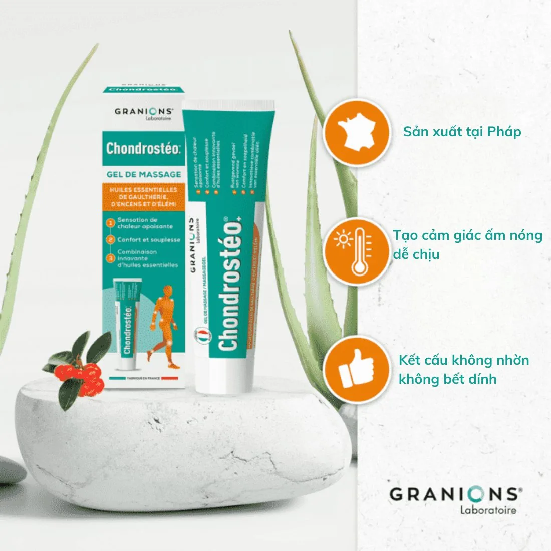 Gel Xoa Bóp Giảm Đau Cơ Khớp Granions Chondrosteo