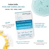 Granions Hyaluronic Acid Coenzym Q10