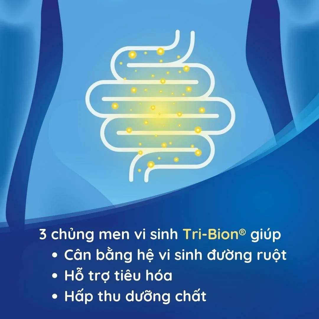Công dụng của Vitamin D Zinc Bion3 Defense