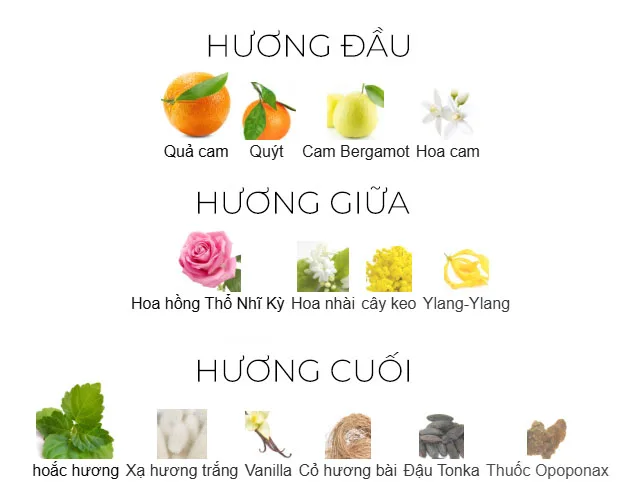 Các nốt hương Coco Mademoiselle