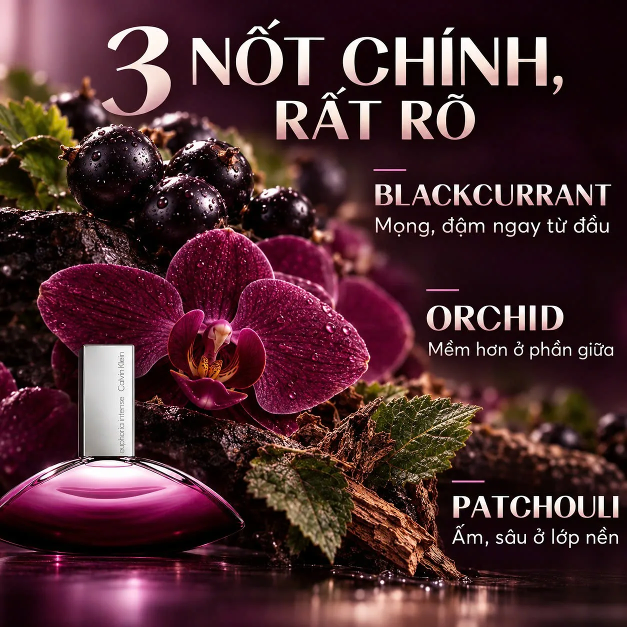 Ba tầng hương lý chua đen hoa lan và hoắc hương của Euphoria Intense