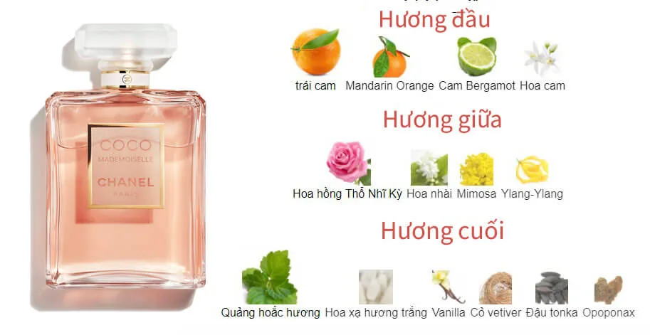 Chai nước hoa nữ bán chạy nhất nhà Chanel Coco Mademoiselle